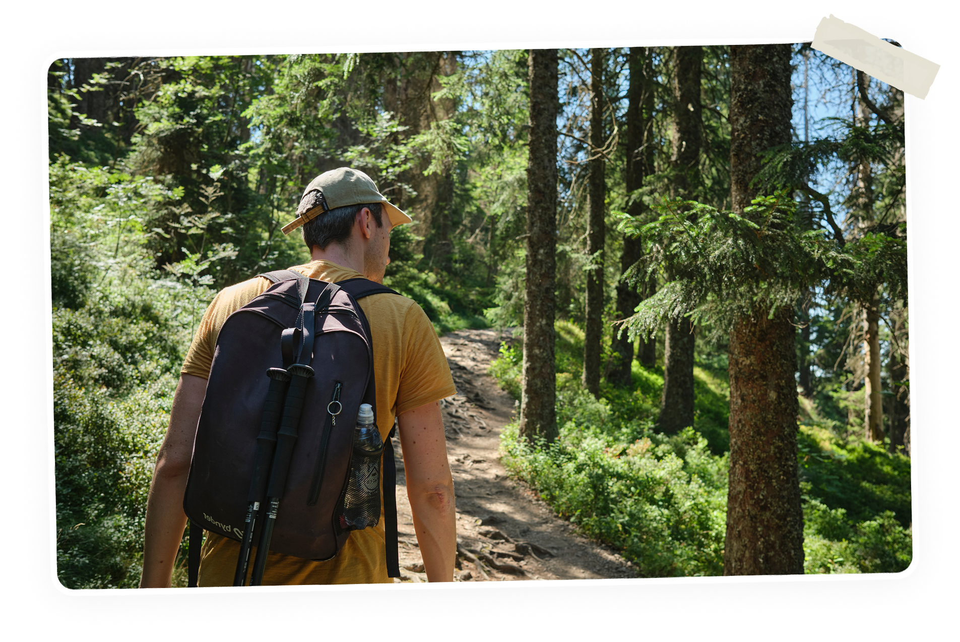 forest trail with hiker black forest
